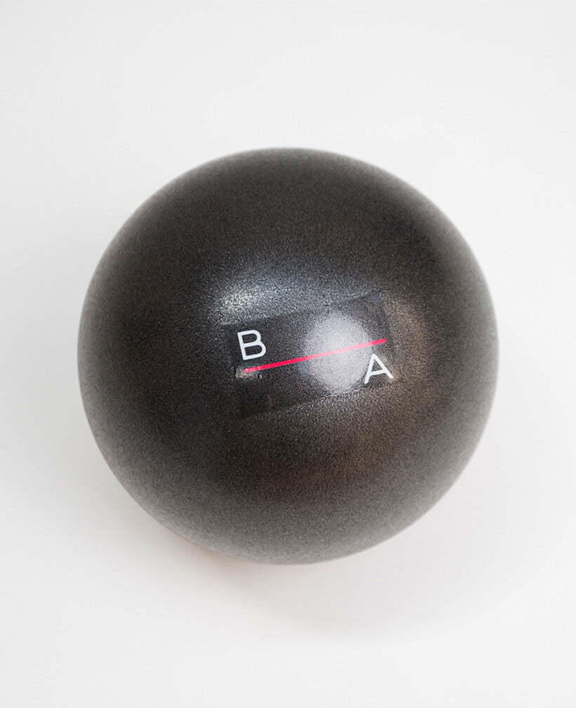 Barre Ball - Black - Multi